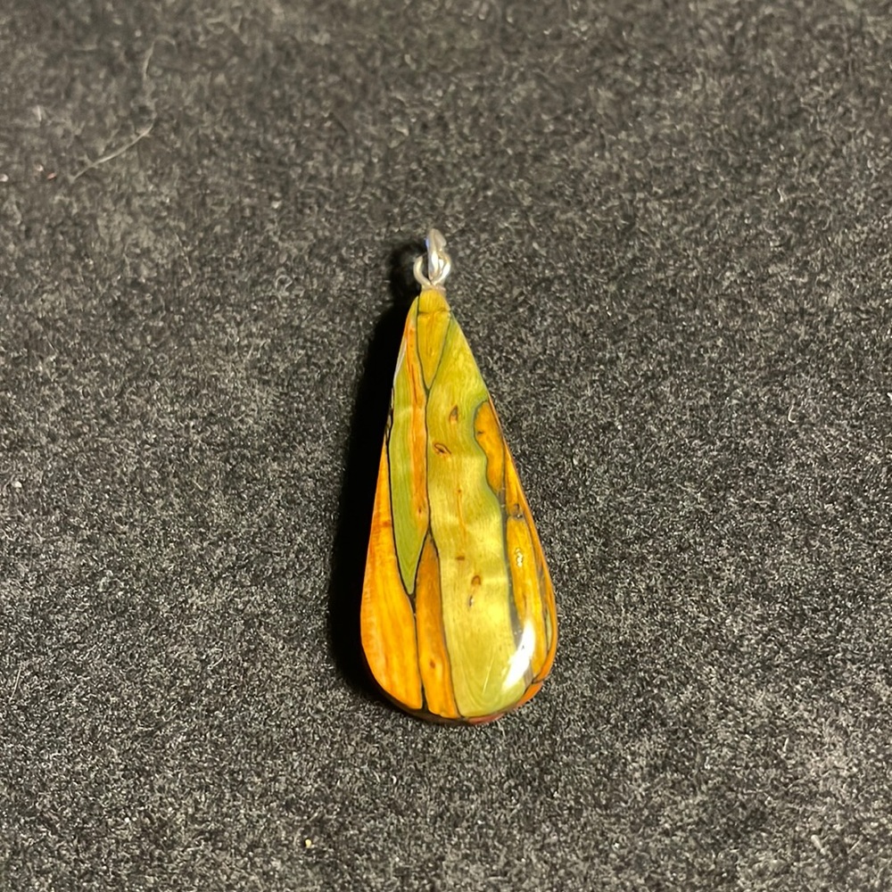 Pendant petrified scottish moss. Very unique purchased in Scotland.